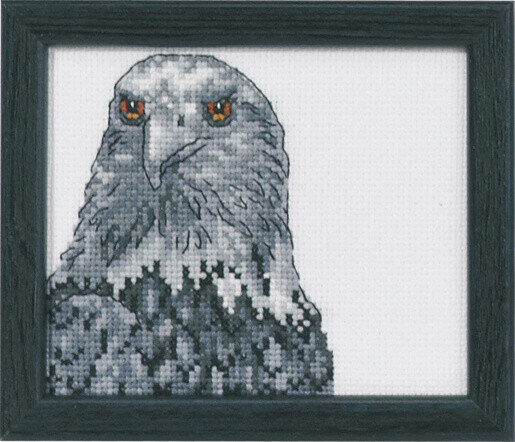 Embroidery Kit Eagle R5497 9 x 11 cm / 3.54 x 4.33 in
