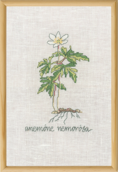 Embroidery Kit White Anemone R5799 20 x 30 cm / 8 x 12 in