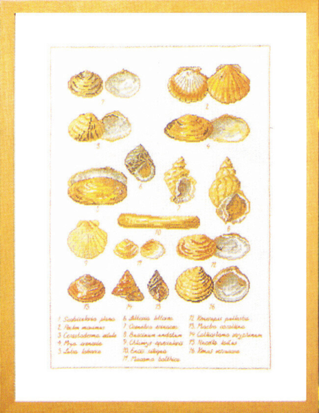 Embroidery Kit Seashells 41 x 56 cm / 16.14 x 22.05 in 5676
