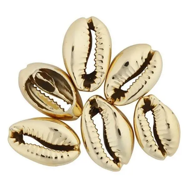 Shell Beads  20 mm, 6 pcs Gold-plated