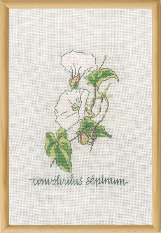 Embroidery Kit Field Bindweed R5799 20 x 30 cm / 7.87 x 11.81 in