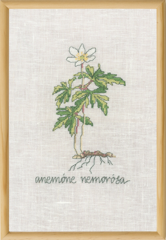 Embroidery Kit White Anemone R5799 20 x 30 cm / 8 x 12 in