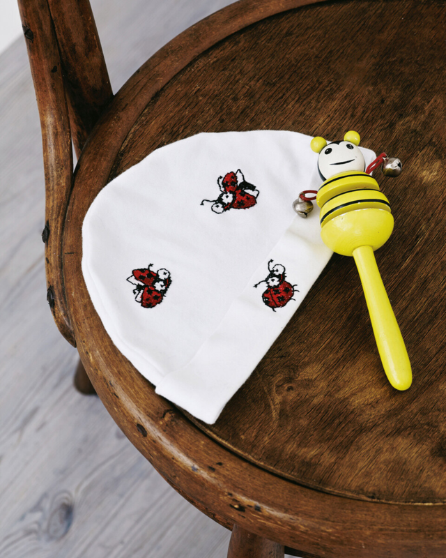 Embroidery Kit Ladybugs 7 x 9 cm / 3 x 4 in