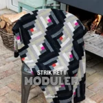 BOOK: Knit right in modules