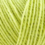 Onion Nettle Sock Yarn 1014