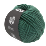 Lana Grossa Bingo 189 Dark green