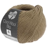 Cool Wool Big 1011 Gray Brown