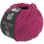 Cool Wool Big 1027 Indian red