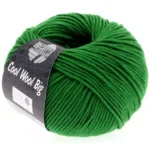 Cool Wool Big 939 Dark Green