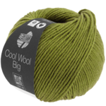 Cool Wool Big 1021 May green