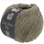 Cool Wool Big 1621 Gray Brown mottled
