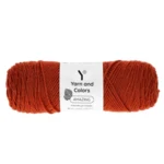 Yarn and Colors Amazing 024 Chestnut