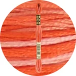 DMC Mouliné Spécial 25 Embroidery Thread, Colour Changing