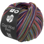 Lana Grossa Cool Wool Print 838 Light blue/Gray green/Camel/Erika/Blue violet