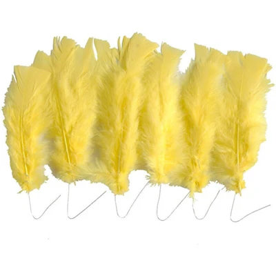 Down Feathers 11-17 cm
