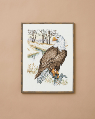 Embroidery Kit The Eagle 30 x 40 cm / 11.81 x 15.75 in