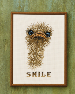 Embroidery Kit "Smile" ostrich 18x24 cm / 7.09x9.45 in R5703